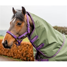 Horseware Amigo Hood 0 Gramm